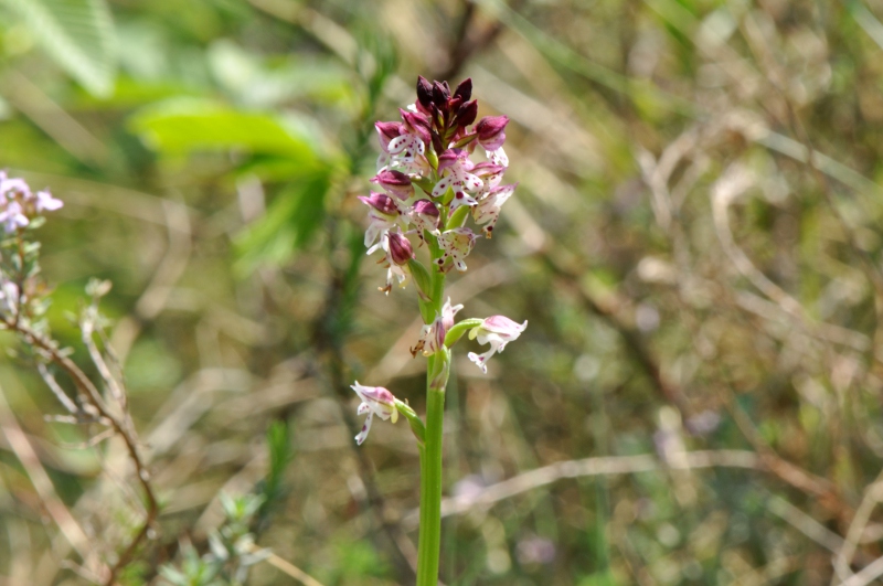 29-04-2010 01.jpg